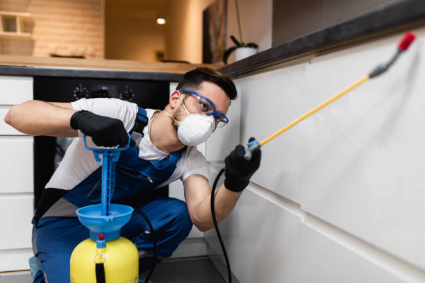 Best Best Pest Control Companies  in Highland Lakes, NJ