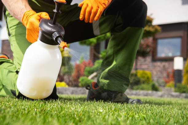 Best Emergency Pest Control  in Highland Lakes, NJ