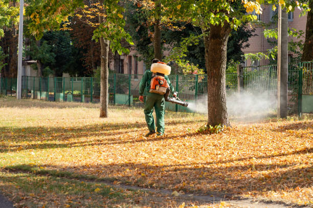 Professional Pest Control in Highland Lakes, NJ